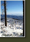 Zimn vhled z Lys hory 1323 m.n.m.